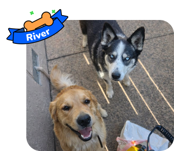 Dog photo with illustrated bone and sash showing the dog’s name - River