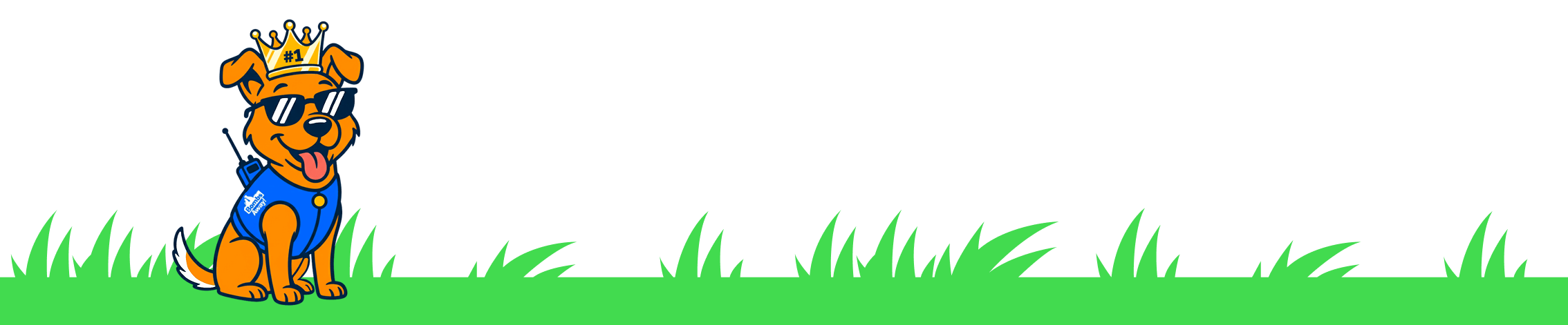 Dog with crown saying number 1 on grass