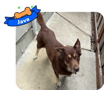 Dog photo with illustrated bone and sash showing the dog’s name - Java