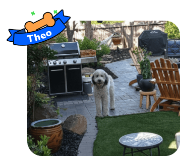 Dog photo with illustrated bone and sash showing the dog’s name - Theo