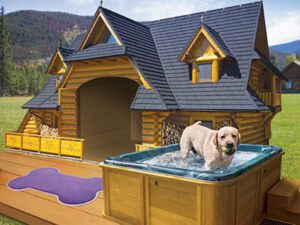 Dog holding a ball in its mouth while in a jacuzzi on a front deck