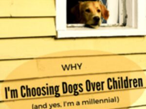 close up of a house with a dog looking out the window