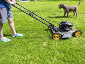 man mowing the grass with a dog in the background