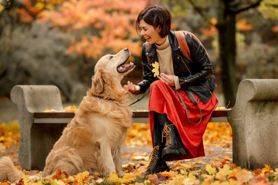 Woman sitting on a bench in an autumn park with golden retriever