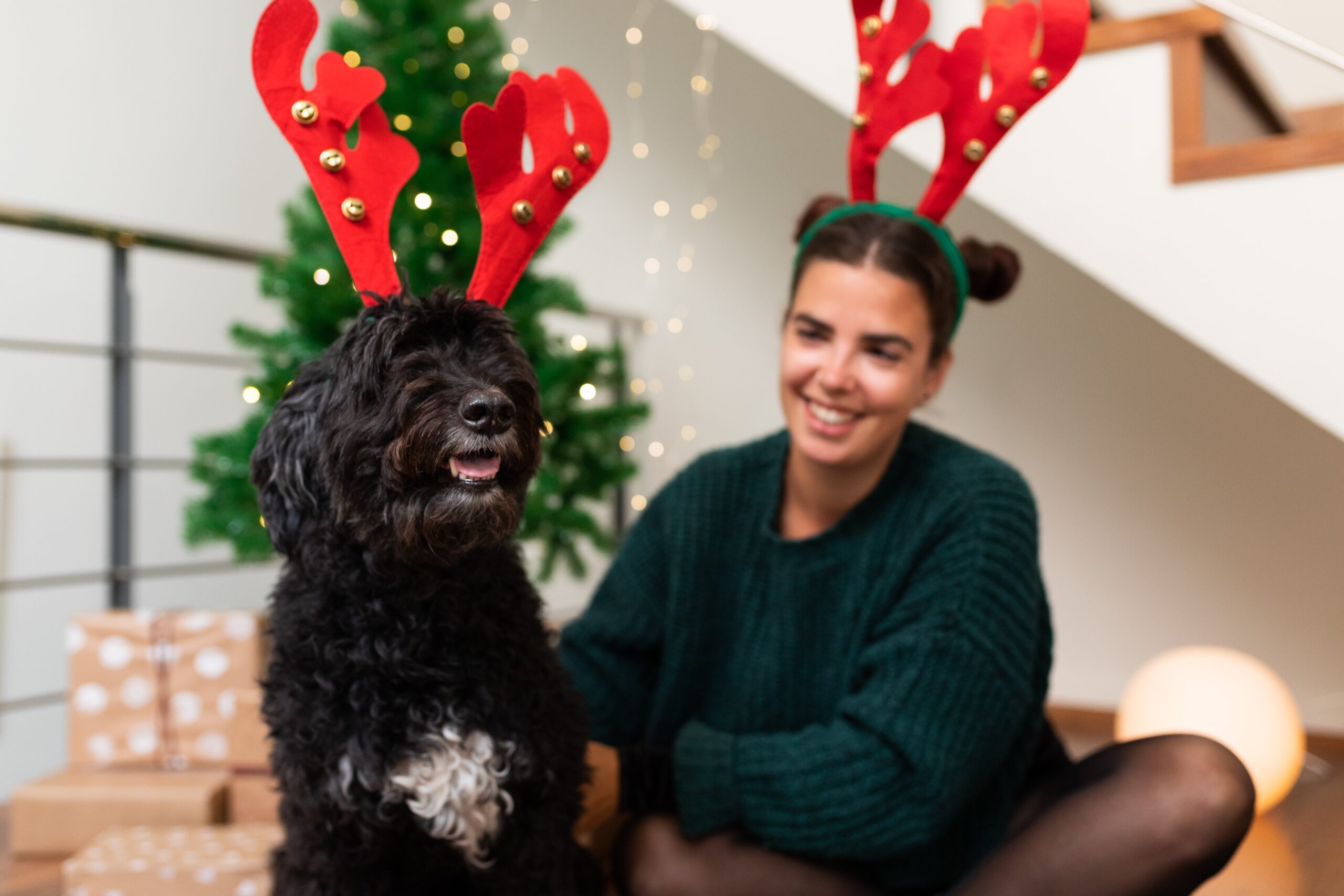 Woman and dog celebrating Christmas together
