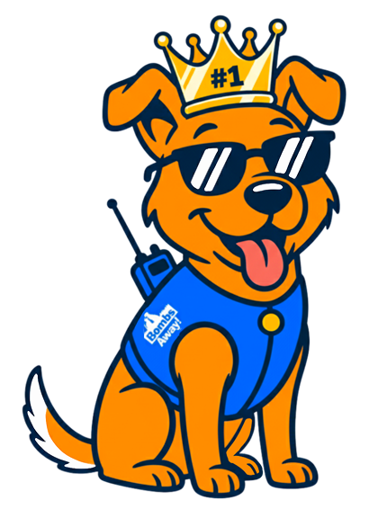 dog wearing a crown saying number 1