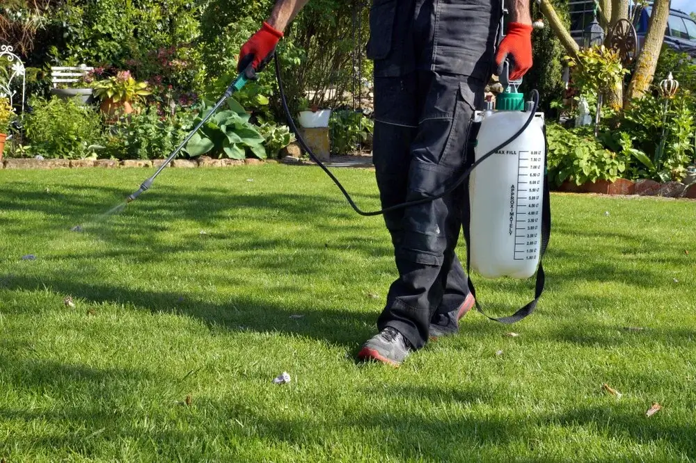 Worker spraying yard odor treatment on grass